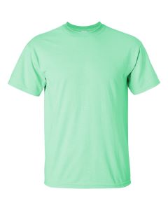 Wholesale G200 Gildan 2000 T-Shirt Ultra Cotton crewneck in mint for BulkApparel Color Palette of the Month January 2021