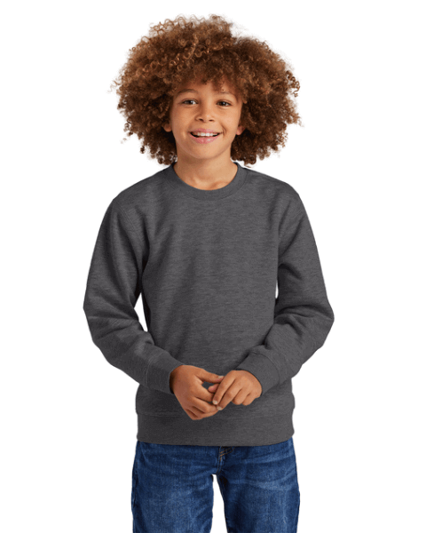 DT6104Y Youth V.I.T. Fleece Crew