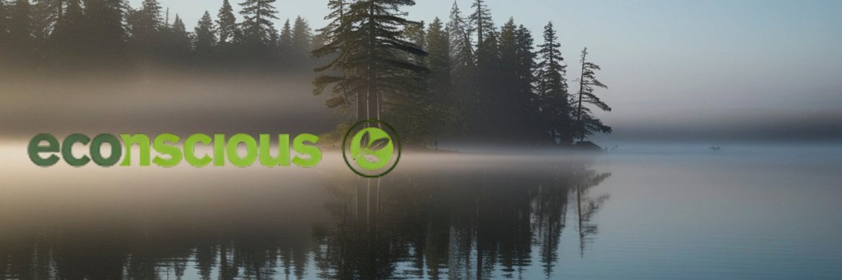 Econscious wholesale apparel from bulkapparel